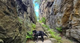 Przesmyk Bazaltowy przy Nonnenfelsen – mroczny koryt…
