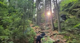 Orgelsteig – szlakiem kamiennych organów i legend Jonsdorfu