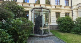 Przed szkołą w Żytawie stoi drzewo sprzed 25 milionó&hellip;