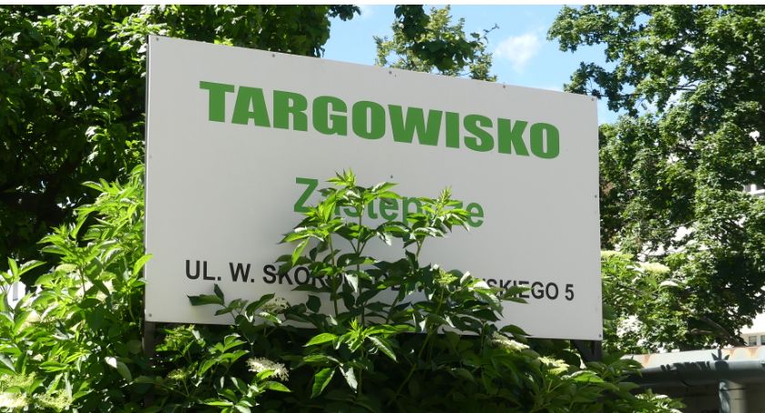 Zielono przy Majewskiego