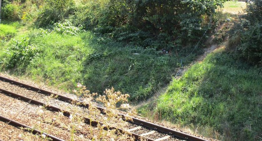 Do parku Szczęśliwickiego przez zieloną granicę