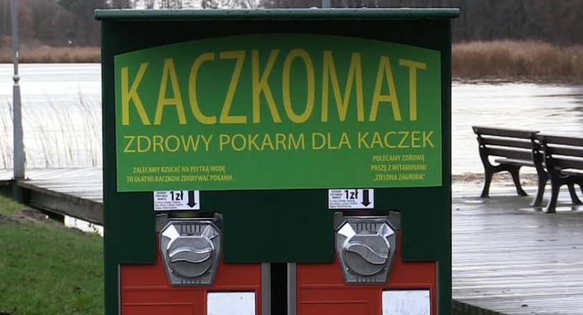 Budżet partycypacyjny -Kaczkomaty w parku Szczęśliwickim