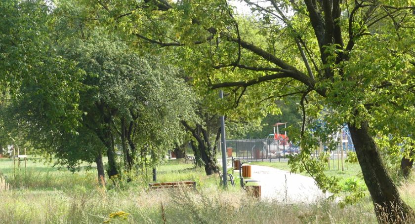 Park Zachodni czy Pięciu Sióstr?