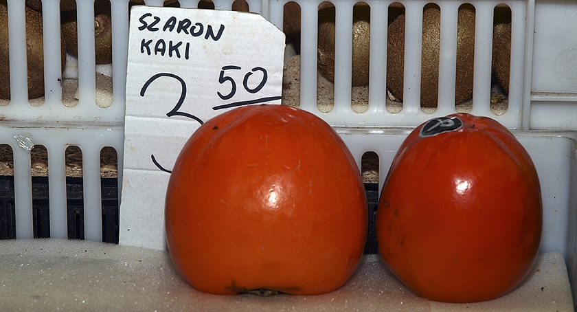 Szaron Kaki