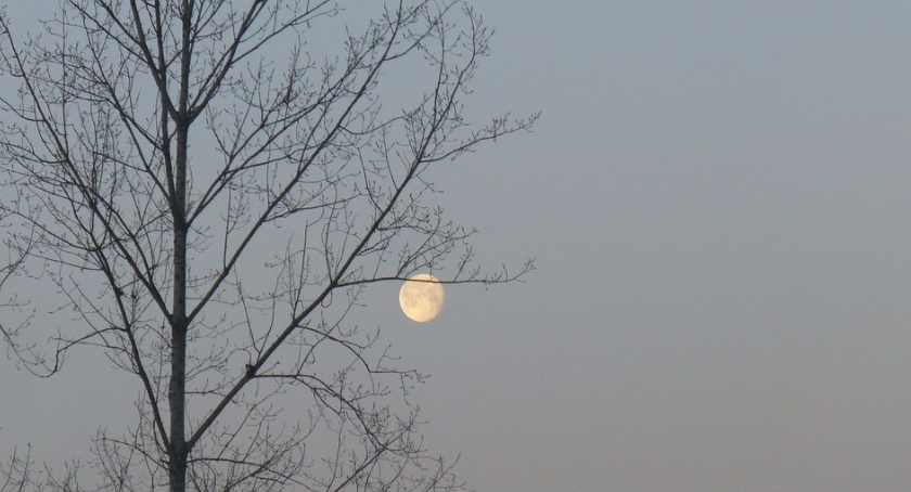 Pod niebem jest pięknie tak - wystawa fotografii 