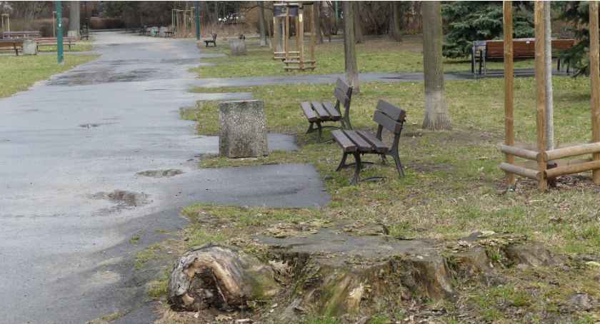 Park Skłodowskiej-Curie stanie się wyjątkowym miejscem