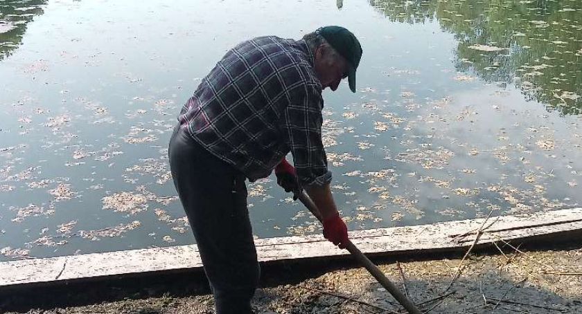 Glony w Parku Szczęśliwickim
