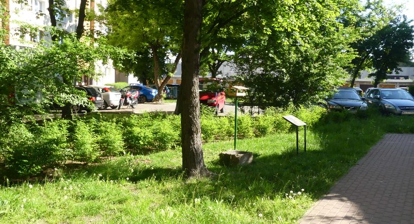 Budżet obywatelski – ptasi zakątek obok Zieleniaka