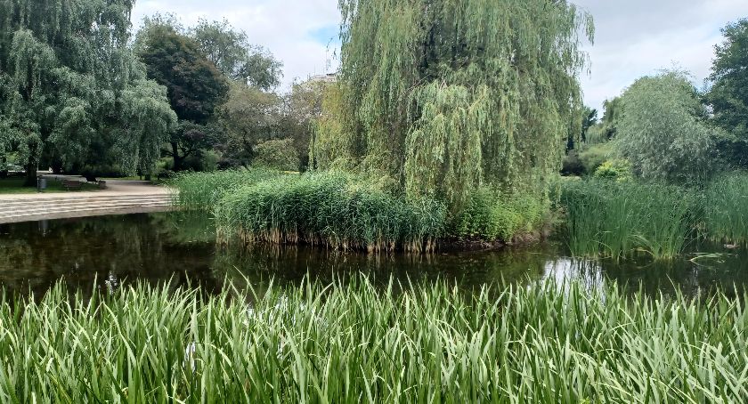 Park Malickiego - nadchodzą generalne porządki