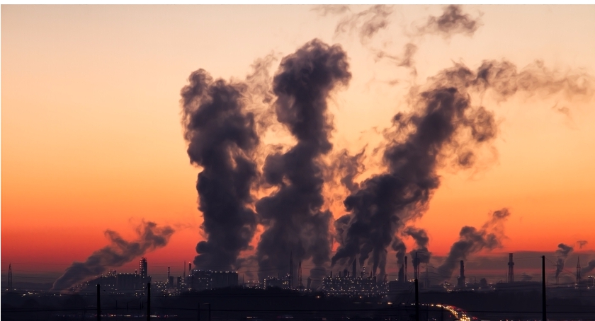 Smog – działanie globalne a nie w ramach lokalnego budżetu partycypacyjnego