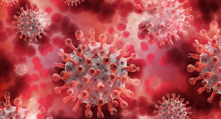 Czy  epidemia wpłynie na zaplanowane wydarzenia?