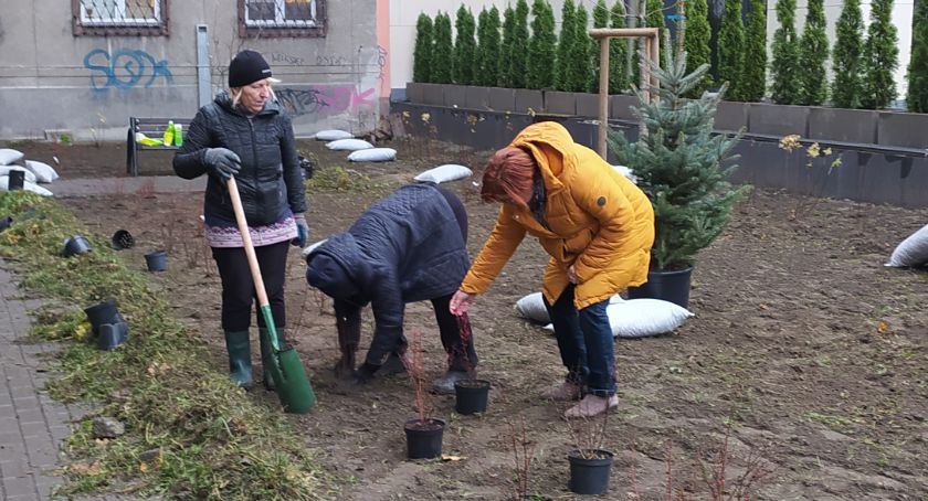 Białobrzeska 28 - małymi krokami też można - zazieleniamy