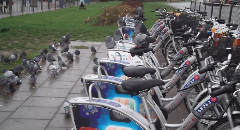 Jazda bez Karty Rowerowej może być kosztowna