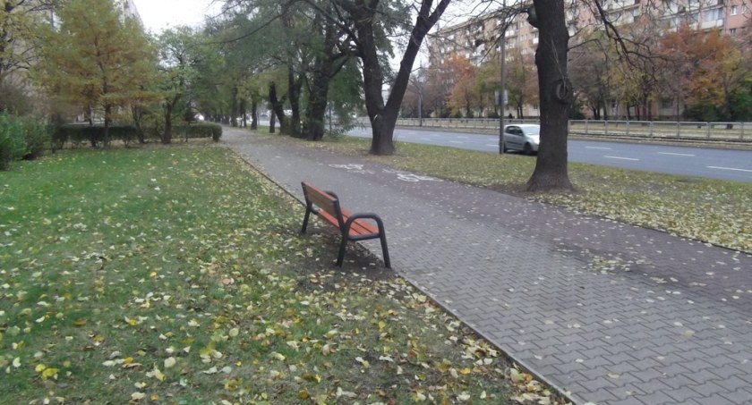 Badania na Ochocie - mieszkańcy chcą więcej ławek i koszy na śmieci