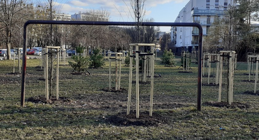 Wiosenne porządki na Szczęśliwicach
