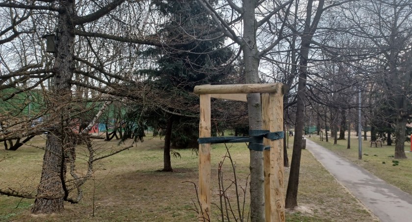 120 drzew dla Ochoty