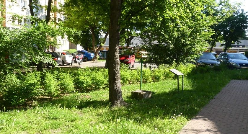 Ptasi zakątek - warto głosować na projekty w Budżecie Obywatelskim!