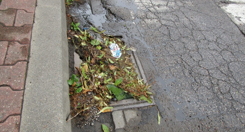 Trochę deszczu a wszystkie pismaki ogłaszają Armagedon. 