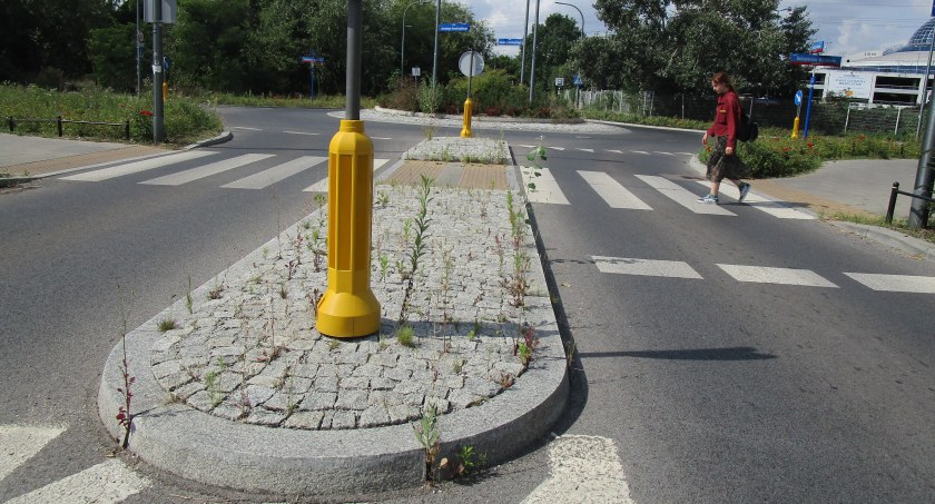 A może tak przyrodzie pozwolić odzyskać swój teren? 