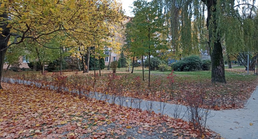 Chodniki już nie straszą