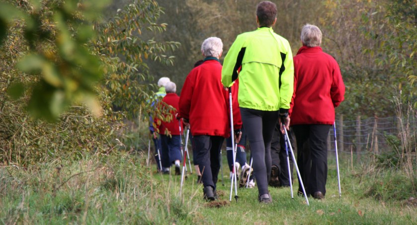 Bezpłatne zajęcia z Nordic Walking