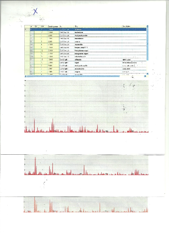 Zielone plamy na ścianie są groźne