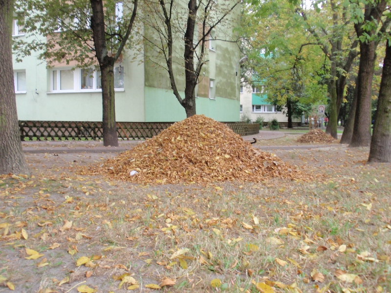 Uliczni wymiatacze cz.2