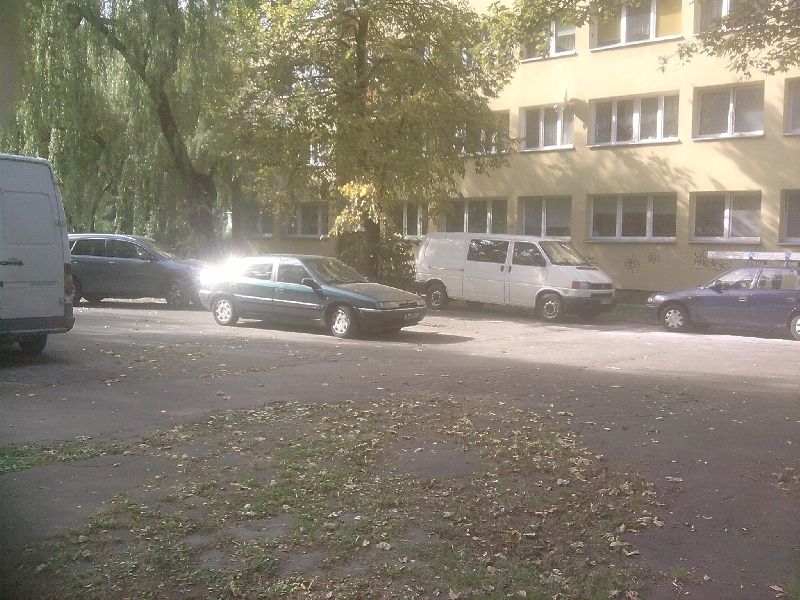 Podwórka dla ludzi czy ...?