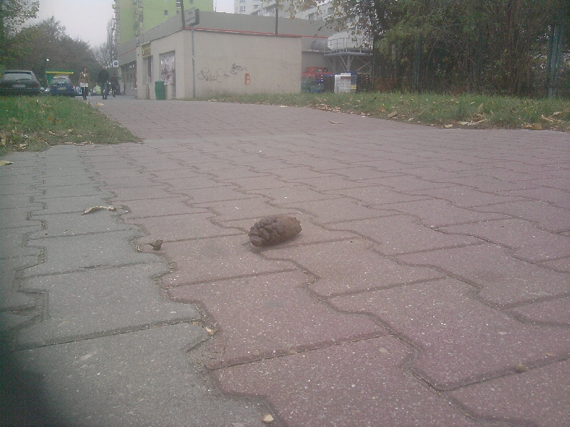 Przepisy przepisami , a życie swoje. 