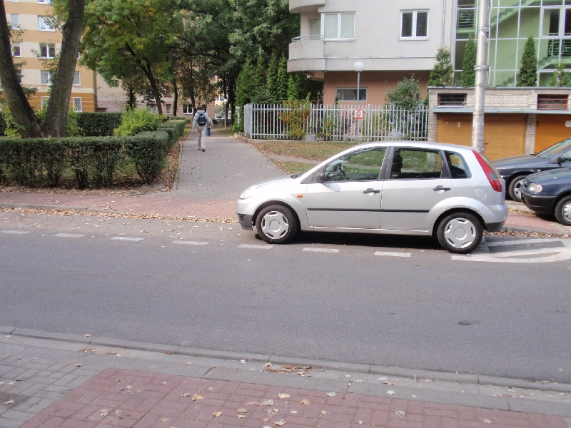 Samowola czy dyletanctwo?