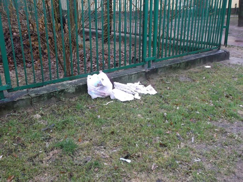 Kultura i edukacja na Majewskiego .  