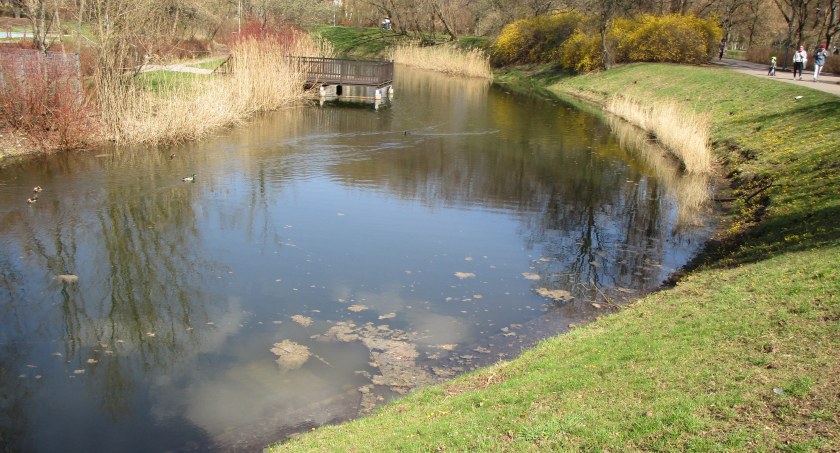 Park Szczęśliwicki na wiosnę