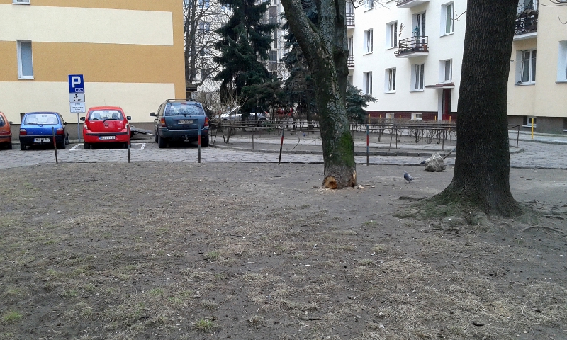 Dunajecka – podwórka do modernizacji