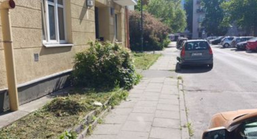 Na Ochocie grasuje szalony kosiarz