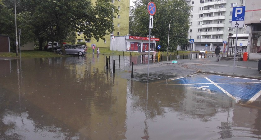 Jezioro łabędzie na Sierpińskiego