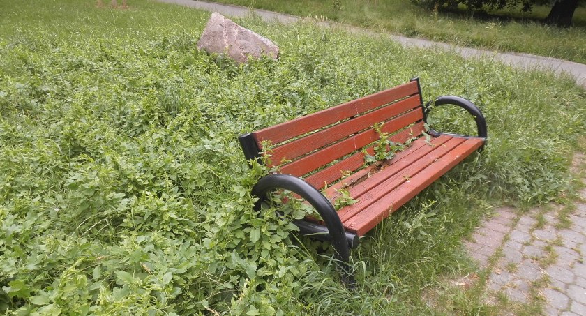 Park Zasława Malickiego i problem z szuwarami