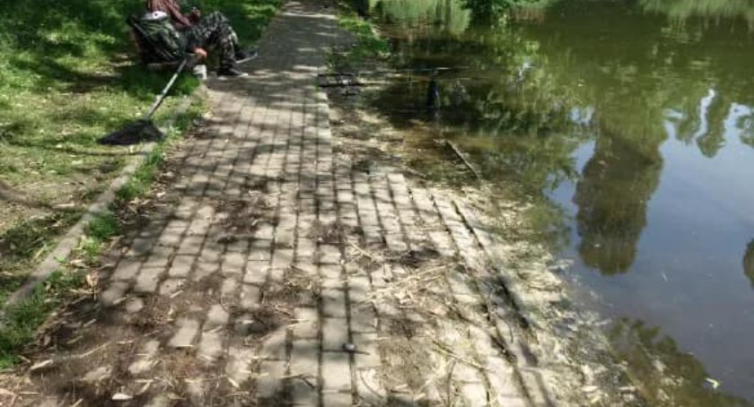Remont alejek spacerowych w Parku Szczęśliwickim