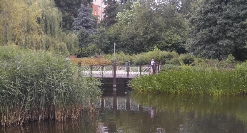 Ciszej wokół tego Parku