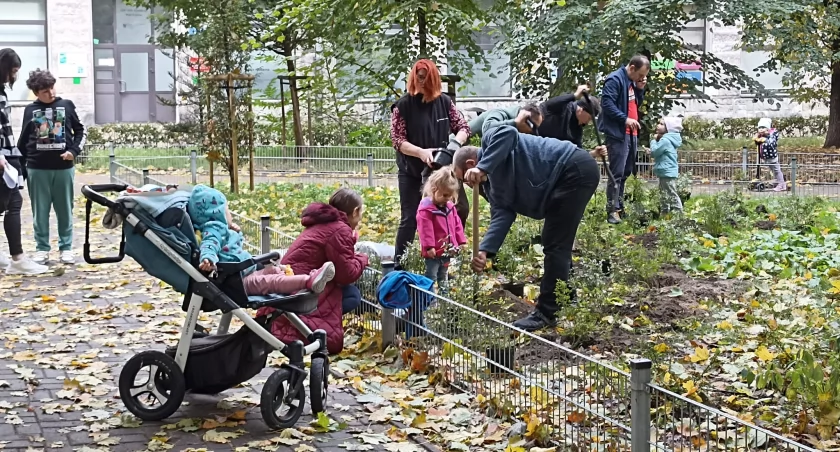 Kolejna edycja akcji - 