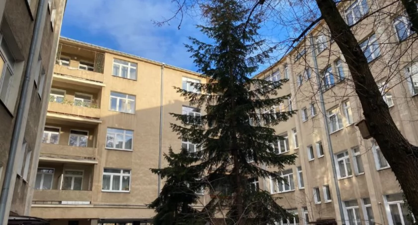 Nowy pomnik przyrody na Ochocie