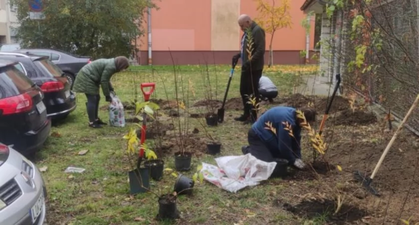 Dbamy o ochocką zieleń!