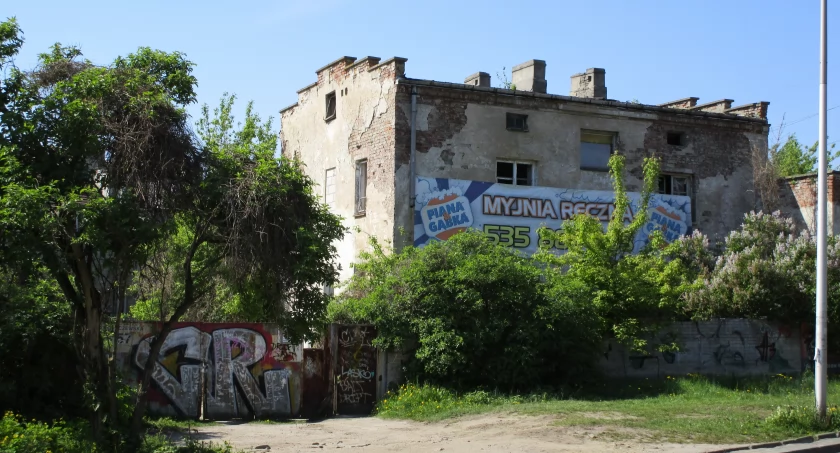 A może by tak postawić „Kubalski park”