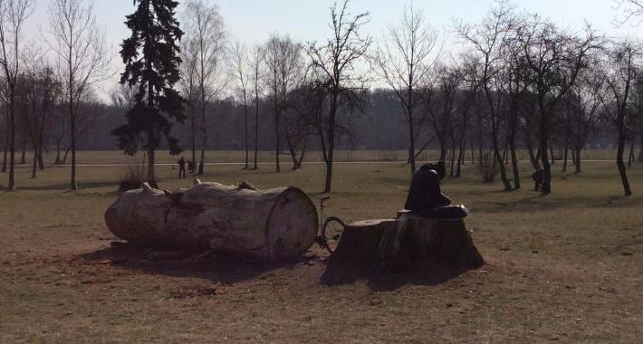 Pole Mokotowskie - wszyscy warszawiacy zabiorą głos