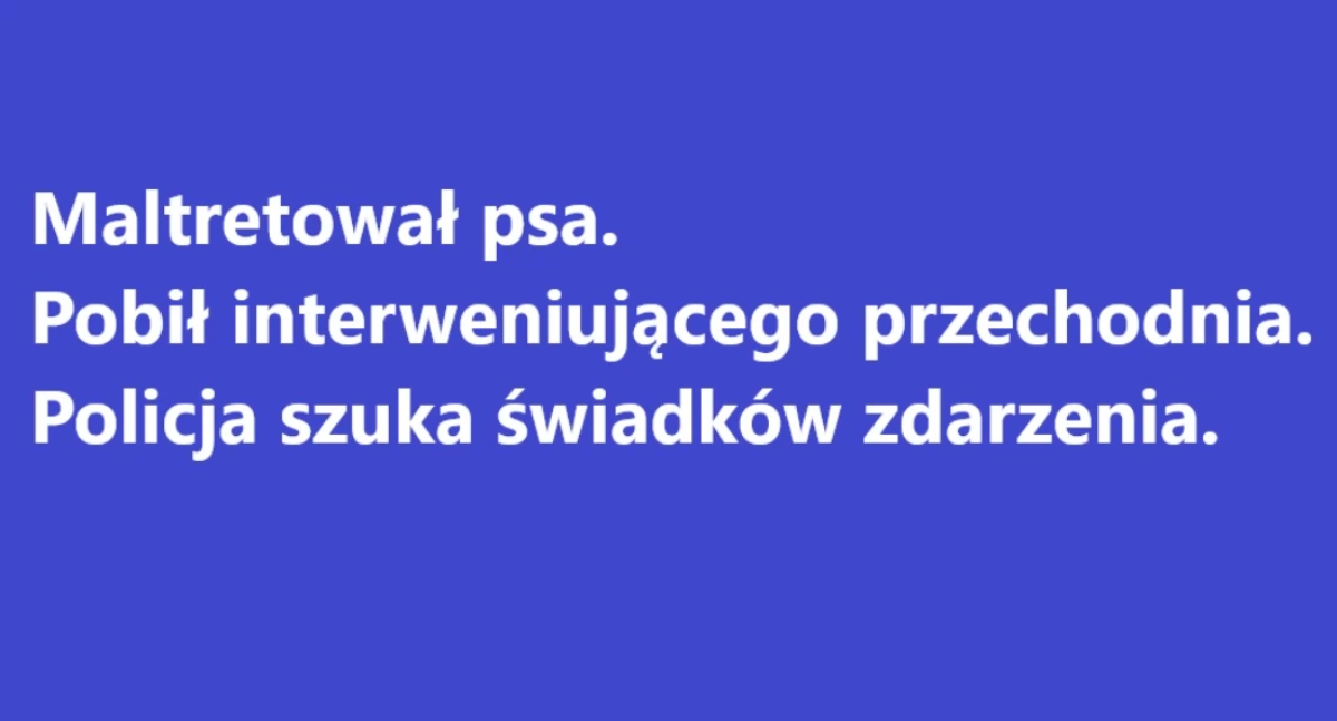 Policja szuka świadków rozboju