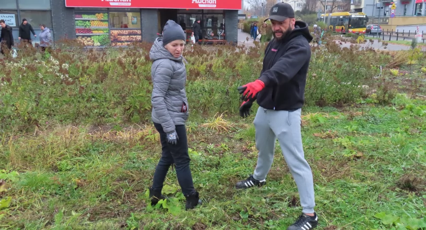 Społeczny ogródek przy Bazarku na Mołdawskiej opanowany i przygotowany do zimy. 
