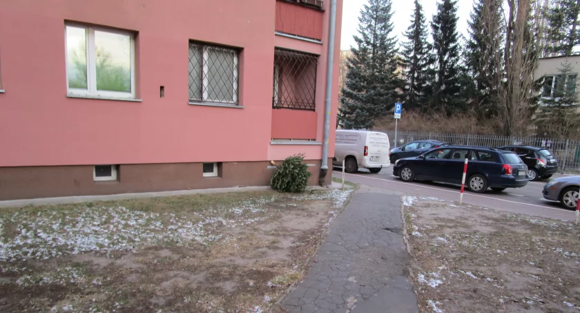 Choinka drogi towar a jak nieszanowany