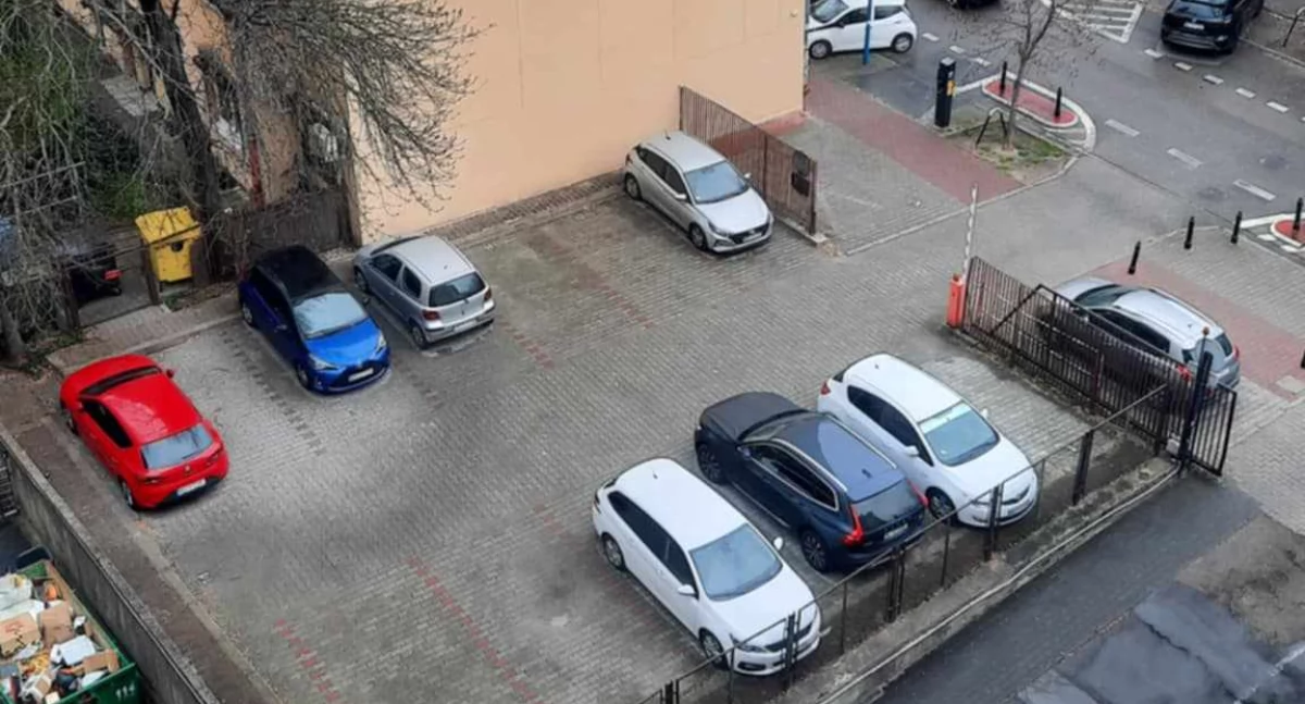 Urzędnicy żądają zdecydowanej walki z blachosmorodami