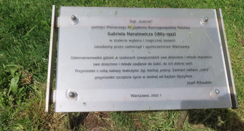 Dąb 