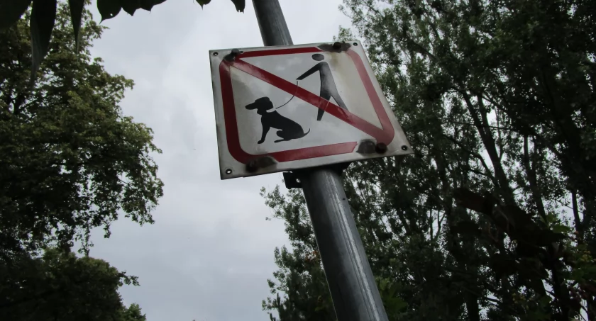 W Parku Malickiego psy mają przechlapane