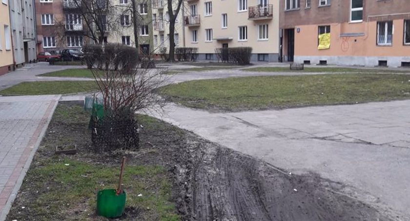 Urocze podwórko